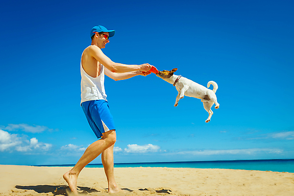 포토 JPG 해외이미지 동물 행복 모래 스포츠 바다 포즈 장난 모션 놀이 휴가 건강 사람없음 야외 반려동물 운동 태양 점프 수영 기쁨 에너지 자유 잡기 뜨거움 입 개 테리어 속도 주인 토막 고립 무료 해외포토 자연요소 감정 컨셉 포유류 신체부위 수상스포츠 파일형식 이미지허브