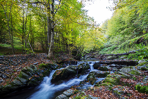 포토 JPG 해외이미지 공원 여행 잎 모션 자연 휴식 산 이끼 사람없음 야외 초록색 물 빛 강 햇빛 뷰티 노란색 평화 환경 침묵 폭포 젖음 흐름 신선 개울 떨어짐 숲 공상 내추럴 해외포토 자연요소 식물 공공시설 컬러 컨셉 태양 소리 생태계 파일형식 이미지허브