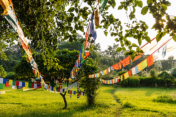 포토 JPG 해외이미지 나무 전통 디자인 배너 아시아 종교 문화 여행 백그라운드 패턴 불교 하늘 미술 사람없음 장식 빨간색 초록색 파란색 컬러풀 노란색 여행객 정원 흰색 기도 축하 깃발 사찰 재산 심볼 신성 네팔 순례 숭배 신앙심 해외포토 식물 나라 컬러 컨셉 무늬 종교건축 문화예술 사람 금융 파일형식 이미지허브