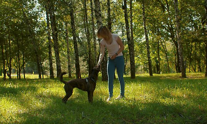 포토 JPG 해외이미지 동물 공원 여자 행복 자연 놀이 휴식 함께함 사랑 한명 사람 야외 초록색 친구 반려동물 귀여움 만지기 개 만족 주인 송곳니 내추럴 돌봄 복종 충실 쓰다듬기 해외포토 1 공공시설 감정 컬러 컨셉 포유류 관계 모션 치아 생태계 파일형식 이미지허브