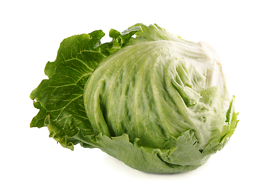 포토 JPG 해외이미지 잎 채소 사람없음 초록색 양배추 해외포토 식물 컬러 파일형식 이미지허브