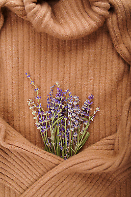 포토 JPG 해외이미지 꽃 실내 사람없음 갈색 니트 라벤더 해외포토 식물 컬러 상의 내부 허브 파일형식 이미지허브