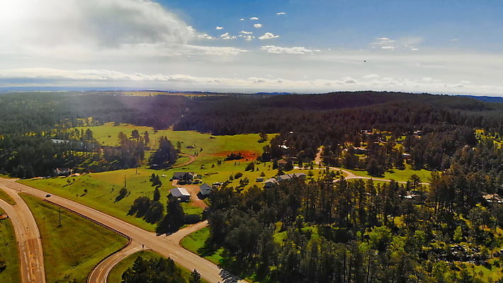 포토 JPG 해외이미지 여행 자연 조류 산 안테나 풍경 사람없음 초록색 뷰티 검은색 미국 소나무 해충 숲 언덕 남쪽 내추럴 서쪽 얇은 화강암 해외포토 나무 동물 컬러 북아메리카 통신 암석 벌레 방향 생태계 파일형식 이미지허브