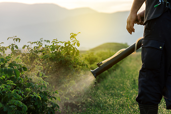 포토 JPG 해외이미지 식물 계절 꽃 산업 분홍색 백그라운드 꽃무늬 밭 자연 파노라마 사람없음 컬러풀 장미 평화 계곡 일몰 화장품 벚꽃 시골 가득함 심볼 향수 향기 스프레이 향 아로마테라피 밭일 불가리아 에센스 해외포토 컬러 컨셉 무늬 농업 촬영기법 뷰티 노을 생태계 냄새 테라피 파일형식 남유럽 이미지허브