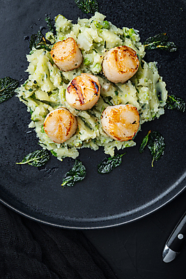 포토 JPG 해외이미지 검은배경 조개 실내 사람없음 하이앵글 구이 가리비 관자 매시드포테이토 해외포토 음식 뷰포인트 백그라운드 어패류 내부 검은색 파일형식 이미지허브