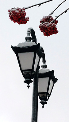 포토 JPG 해외이미지 나무 공원 꽃다발 겨울 가로등 과일 하늘 아침 조명 거리 사람없음 빛 등불 도시 정사각형 해외포토 주간 도형 식물 계절 공공시설 꽃 파일형식 이미지허브