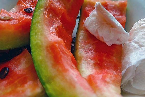 포토 JPG 해외이미지 음식 조각 백그라운드 밭 농업 다이어트 채소 과일 자연 디저트 수박 건강 육류 씨앗 사람없음 빨간색 초록색 물 여름 농장 정원 주스 껍질 바위 신선 달콤 맛 낟알 멜론 설탕 자르기 피부 상쾌 유기농 나무껍질 숙성 해외포토 자연요소 나무 식물 웰빙 계절 감정 산업 음료 컬러 컨셉 식재료 모션 신체부위 돌_바위 생태계 파일형식 이미지허브