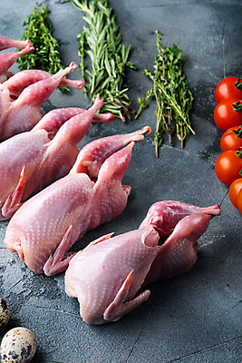 포토 JPG 해외이미지 식재료 방울토마토 회색배경 실내 생고기 육류 사람없음 허브 일렬 로즈메리 메추리 해외포토 식물 백그라운드 토마토 내부 회색 파일형식 이미지허브