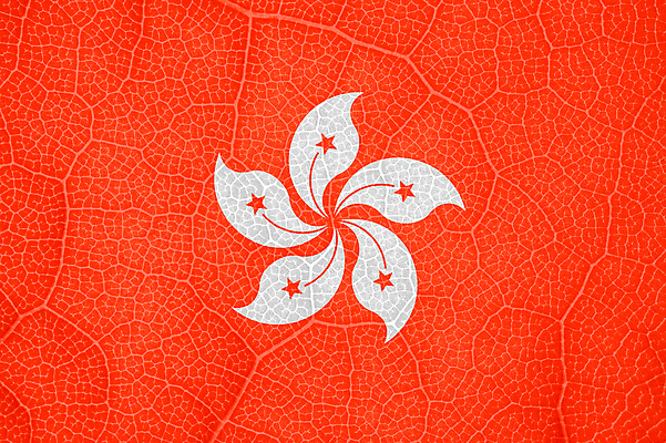 포토 JPG 해외이미지 나무 식물 선 백그라운드 잎 곡선 자연 바람 추상 세포 사람없음 가로 황혼 경쟁 자유 성장 깃발 액체 닫기 떨어짐 민주주의 대륙 질감 부드러움 시트 애국심 빛망울 강렬 광 독립 전국 정부 해외포토 자연요소 컨셉 무늬 모션 날씨 빛 일몰 감각 생태계 파일형식 이미지허브