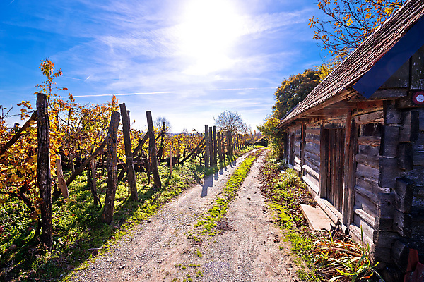 포토 JPG 해외이미지 나무 전통 도로 여행 겨울 오렌지 건축양식 자연 산 주택 풍경 사람없음 건물 목재 초록색 노란색 문 마을 와인 수확 골동품 가을 시골 역사 오두막 시골집 포도밭 지역 크로아티아 내추럴 수목 옛날 전국 판잣집 해외포토 식물 건축물 계절 건축 유럽 길 컬러 밭 농업 과일 재료 교통시설 주류 생태계 파일형식 이미지허브