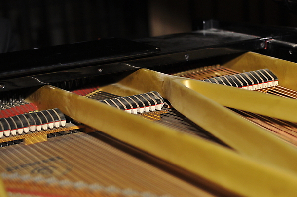 포토 JPG 해외이미지 디자인 줄 음악 패턴 부분 열쇠 타악기 실내 미술 사람없음 목재 노란색 금속 기계 소리 장비 수확 기구 키보드 악단 오픈 황금 클래식 망치 아래 묘사 오브젝트 정비공 조절 구성 뮤지컬 옛날 조율 해외포토 나무 악기 컬러 컨셉 무늬 농업 재료 재질 문화예술 내부 공구 기술자 방향 위치 파일형식 이미지허브