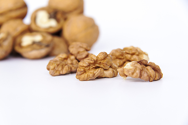 포토 JPG 해외이미지 단면 건조 사람없음 껍질 낟알 흰배경 알맹이 호두 해외포토 백그라운드 견과류 흰색 파일형식 이미지허브