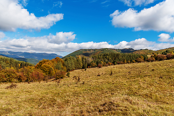 포토 JPG 해외이미지 나무 구름 계절 도로 여행 백그라운드 자연 하늘 휴가 산 거리 풍경 경사 사람없음 초록색 여름 파란색 컬러풀 노란색 환경 계곡 맑음 하이킹 안개 가을 붓 숲 언덕 산등성이 생태학 절정 해외포토 자연요소 식물 교육 길 컬러 교통시설 레저 날씨 생태계 파일형식 이미지허브