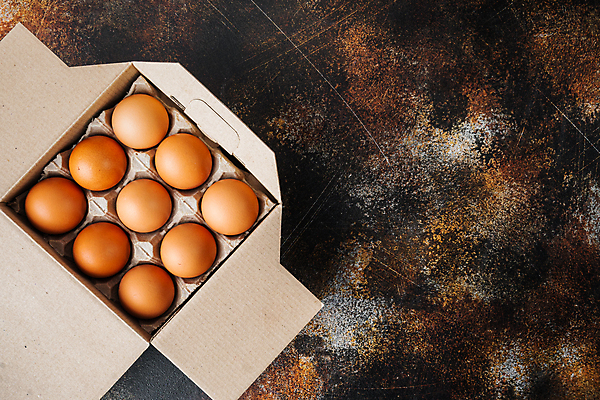 포토 JPG 해외이미지 음식 식재료 사람없음 하이앵글 계란 계란판 카피스페이스 해외포토 뷰포인트 알 공백 파일형식 이미지허브