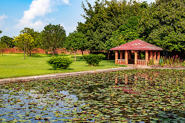 포토 JPG 해외이미지 나무 식물 외관 공원 꽃 호수 물결 잎 곡선 건축양식 자연 휴식 주택 함께함 풍경 사람없음 야외 건물 장식 초록색 물 여름 햇빛 반사 정원 침묵 봄 젖음 바위 연못 점 백합 그늘 조경 장면 내추럴 교외 정중 해외포토 자연요소 건축물 계절 공공시설 건축 선 컬러 컨셉 태양 소리 돌_바위 생태계 파일형식 이미지허브