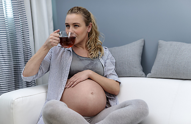 포토 JPG 해외이미지 주간 백인 라이프스타일 여자 행복 음료 가족 엄마 아침 휴식 주택 실내 건강 한명 사람 앉기 컵 소파 귀여움 임산부 임신 기쁨 방 터치 머그컵 마시기 아기 잡기 기다림 예측 돌봄 안락 해외포토 자연요소 서양인 1 식기 감정 컨셉 의자 관계 모션 내부 건물 생활 파일형식 이미지허브
