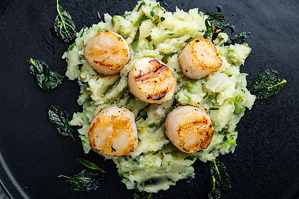 포토 JPG 해외이미지 검은배경 조개 실내 사람없음 하이앵글 구이 가리비 관자 매시드포테이토 해외포토 음식 뷰포인트 백그라운드 어패류 내부 검은색 파일형식 이미지허브