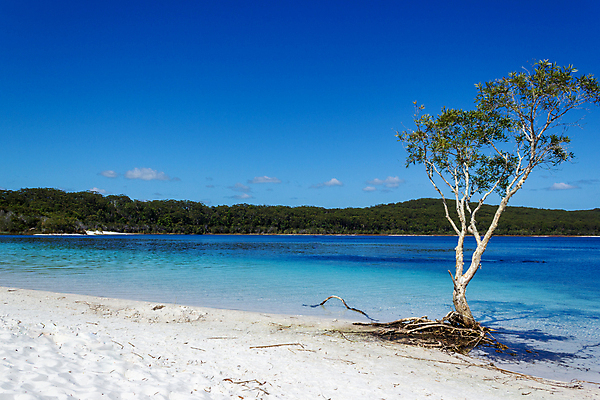 포토 JPG 해외이미지 응시 공원 모래 한명 야외 여름 전국 해외포토 1 시선 계절 공공시설 사람 파일형식 이미지허브
