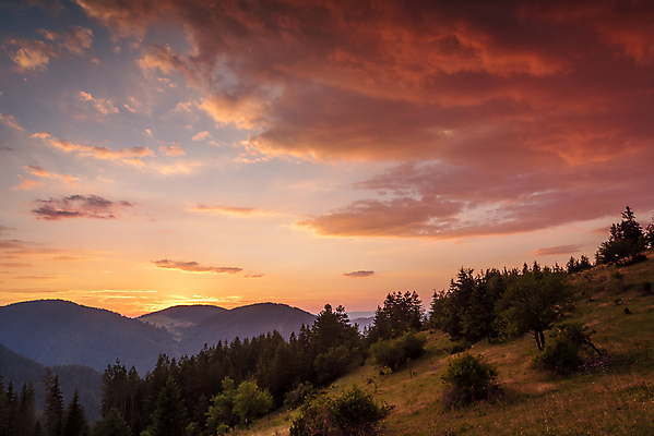 포토 JPG 해외이미지 나무 구름 계절 야생동물 섬 여행 백그라운드 자연 하늘 아침 휴가 산 파노라마 풍경 사람없음 야외 초록색 여름 빛 컬러풀 햇빛 태양 노란색 일출 환경 골짜기 일몰 봄 새벽 하이킹 가을 시골 저녁 숲 언덕 즐거움 장면 내추럴 생태학 웅장함 해외포토 주간 자연요소 식물 동물 교육 감정 컬러 레저 촬영기법 노을 야간 생태계 파일형식 이미지허브