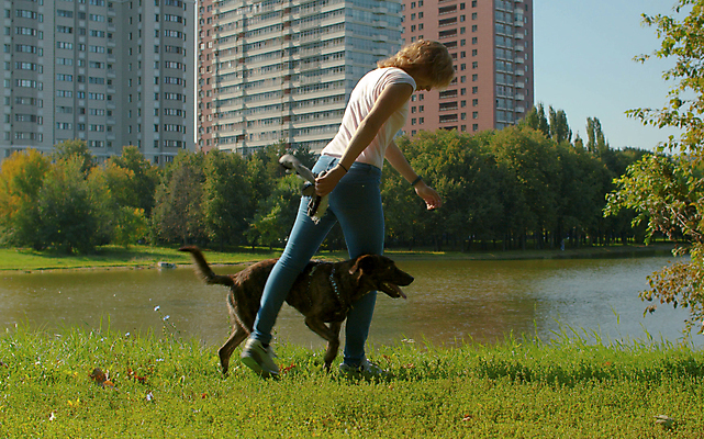 포토 JPG 해외이미지 동물 공원 여자 행복 호수 운동화 자연 놀이 함께함 사랑 한명 사람 야외 초록색 친구 반려동물 운동 걷기 귀여움 맑음 점프 기쁨 개 주인 명령 돌봄 복종 충실 해외포토 1 공공시설 감정 컬러 신발 컨셉 포유류 관계 모션 날씨 건강 생태계 파일형식 이미지허브