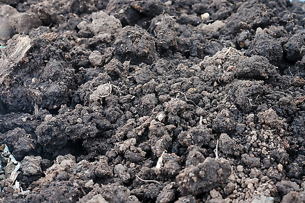 포토 JPG 해외이미지 계절 지구 선 백그라운드 패턴 밭 농업 자연 표면 잔디 사람없음 농작물 모래사장 농장 농경지 갈색 환경 정원 어둠 흙 봄 줄무늬 젖음 성장 흰색 시골 닫기 땅 만취 묘사 유기농 원예 질감 먼지 지하 내추럴 그런지 땅바닥 밭일 쟁기 줄서기 세련 해외포토 식물 웰빙 산업 바다 컬러 무늬 모션 바닥 취미 생태계 술취함 파일형식 이미지허브