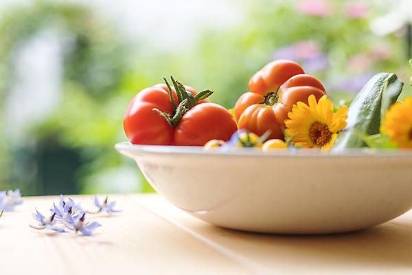 포토 JPG 해외이미지 라이프스타일 꽃 지구 음식 농업 토마토 채소 건강 종류 사람없음 초록색 여름 농장 정원 수확 가을 시골 신선 도시 변화 시장 맛 허브 에코 유기농 원예 오르기 지역 내추럴 뒤뜰 밭일 생태학 숙성 영양분 비건 해외포토 식물 웰빙 계절 교육 산업 컬러 컨셉 모션 취미 생활 환경 채식주의자 파일형식 이미지허브