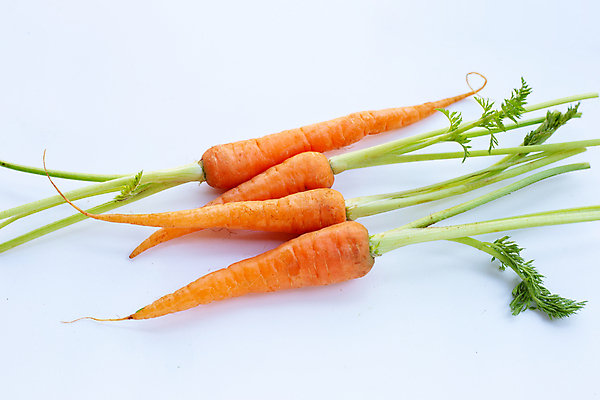 포토 JPG 해외이미지 줄기 잎 실내 사람없음 당근 흰배경 해외포토 식물 백그라운드 뿌리채소 내부 흰색 파일형식 이미지허브