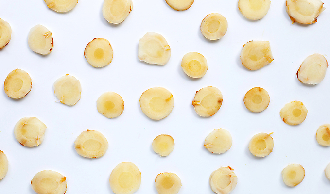 포토 JPG 해외이미지 패턴 단면 실내 사람없음 흰배경 슬라이스 생강 해외포토 백그라운드 무늬 채소 내부 흰색 파일형식 이미지허브