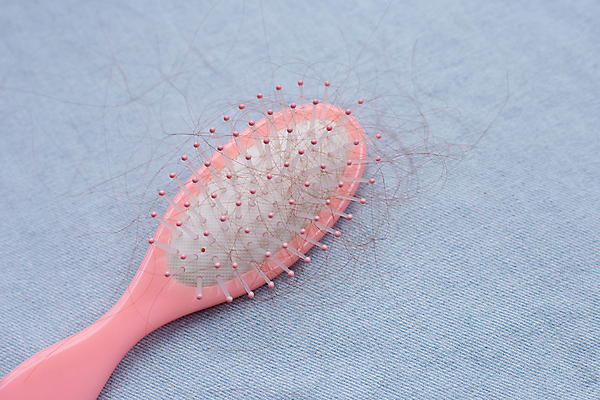 포토 JPG 해외이미지 실내 사람없음 머리카락 머리빗 오브젝트 파란배경 탈모 숱 해외포토 백그라운드 내부 파란색 머리 미용용품 증상 파일형식 이미지허브