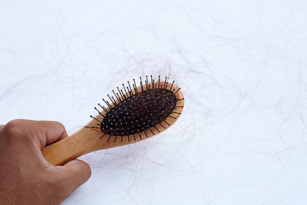 포토 JPG 해외이미지 손 실내 들기 신체부위 머리카락 잡기 머리빗 오브젝트 흰배경 탈모 해외포토 백그라운드 모션 사람 내부 머리 흰색 미용용품 증상 파일형식 이미지허브