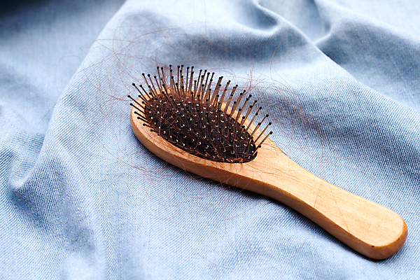 포토 JPG 해외이미지 실내 사람없음 머리카락 머리빗 오브젝트 파란배경 탈모 해외포토 백그라운드 내부 파란색 머리 미용용품 증상 파일형식 이미지허브