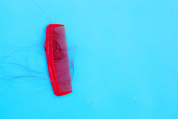 포토 JPG 해외이미지 실내 사람없음 머리카락 머리빗 오브젝트 파란배경 탈모 숱 해외포토 백그라운드 내부 파란색 머리 미용용품 증상 파일형식 이미지허브