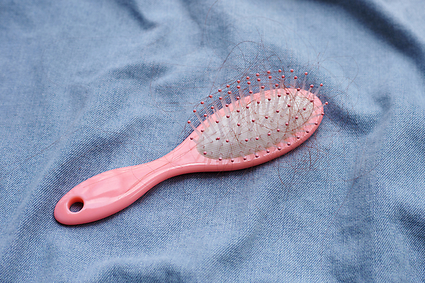 포토 JPG 해외이미지 실내 사람없음 머리카락 머리빗 오브젝트 파란배경 탈모 해외포토 백그라운드 내부 파란색 머리 미용용품 증상 파일형식 이미지허브