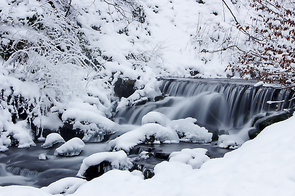 포토 JPG 해외이미지 나무 계절 공원 여행 크리스마스 겨울 자연 휴가 사람없음 야외 물 강 태양 평화 환경 얼음 폭포 젖음 흐름 추위 흰색 신선 개울 떨어짐 시원함 12월 크리스탈 서리 체코 고드름 보헤미아 파라다이스 눈내림 해외포토 자연요소 식물 공공시설 기념일 유럽 컬러 컨셉 눈_날씨 날짜 광석 생태계 파일형식 이미지허브