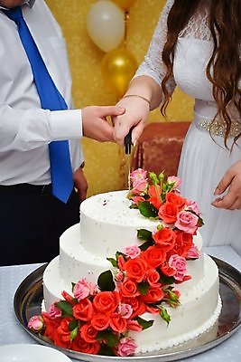 포토 JPG 해외이미지 여자 남자 꽃 결혼 상반신 성인 두명 장식 케이크 손잡기 자르기 웨딩케이크 빵칼 성인만 해외포토 식물 모션 디저트 사람 이벤트 나이프 파일형식 이미지허브