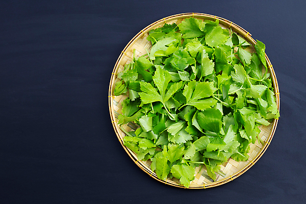 포토 JPG 해외이미지 백그라운드 잎 검은배경 사람없음 신선 유기농 담기 샐러리 대나무소쿠리 해외포토 식물 웰빙 채소 모션 검은색 파일형식 이미지허브