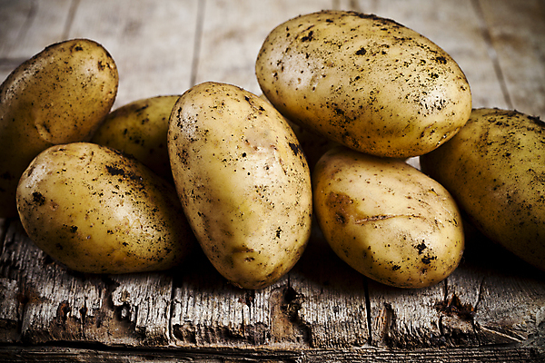포토 JPG 해외이미지 감자 실내 사람없음 여러개 흙 나무배경 해외포토 다수 백그라운드 채소 내부 파일형식 이미지허브