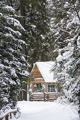 포토 JPG 해외이미지 나무 디자인 계절 공원 도로 백그라운드 크리스마스 겨울 건축양식 가족 자연 하늘 지붕 날씨 휴가 새해 주택 풍경 사람없음 야외 건물 목재 물 빛 뷰티 냉동 얼음 침묵 추위 흰색 도시 숲 12월 질감 서리 장면 방갈로 1월 내추럴 눈내림 해외포토 자연요소 식물 건축물 공공시설 기념일 건축 길 컬러 재료 관계 교통시설 숙소 눈_날씨 소리 날짜 생태계 파일형식 이미지허브
