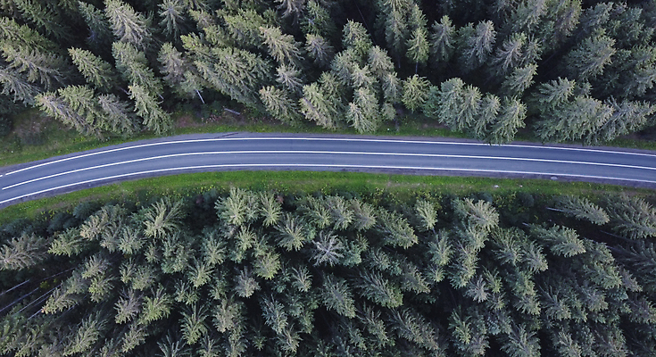 포토 JPG 해외이미지 나무 식물 도로 길 여행 백그라운드 잎 크리스마스 패턴 교통시설 자연 산 거리 안테나 풍경 사람없음 야외 목재 가로 초록색 빛 환경 운전 시골 고속도로 정상 숲 아스팔트 드론 루트 리투아니아 가문비나무 해외포토 기념일 유럽 컬러 교통 무늬 재료 통신 모션 시설 생태계 파일형식 이미지허브