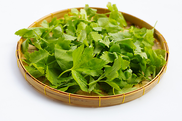 포토 JPG 해외이미지 백그라운드 잎 사람없음 신선 흰배경 유기농 담기 샐러리 대나무소쿠리 해외포토 식물 웰빙 채소 모션 흰색 파일형식 이미지허브