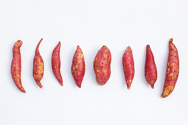 포토 JPG 해외이미지 실내 사람없음 흰배경 고구마 일렬 해외포토 백그라운드 뿌리채소 내부 흰색 파일형식 이미지허브