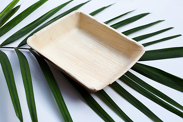 포토 JPG 해외이미지 실내 사람없음 흰배경 야자수잎 친환경제품 야자수잎접시 해외포토 접시 백그라운드 잎 내부 흰색 친환경 파일형식 이미지허브