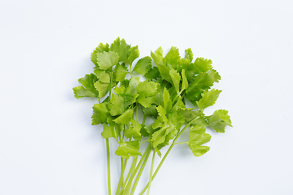 포토 JPG 해외이미지 백그라운드 잎 사람없음 신선 흰배경 유기농 샐러리 해외포토 식물 웰빙 채소 흰색 파일형식 이미지허브