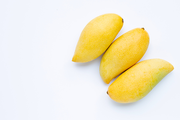 포토 JPG 해외이미지 실내 사람없음 세개 열대과일 흰배경 망고 카피스페이스 해외포토 백그라운드 과일 3 내부 공백 흰색 파일형식 이미지허브