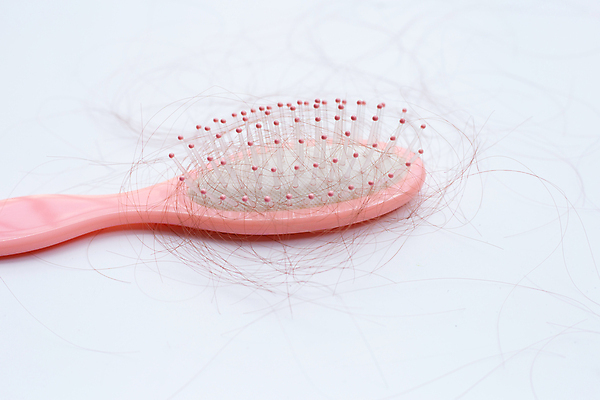 포토 JPG 해외이미지 실내 사람없음 머리카락 머리빗 오브젝트 흰배경 탈모 숱 해외포토 백그라운드 내부 머리 흰색 미용용품 증상 파일형식 이미지허브