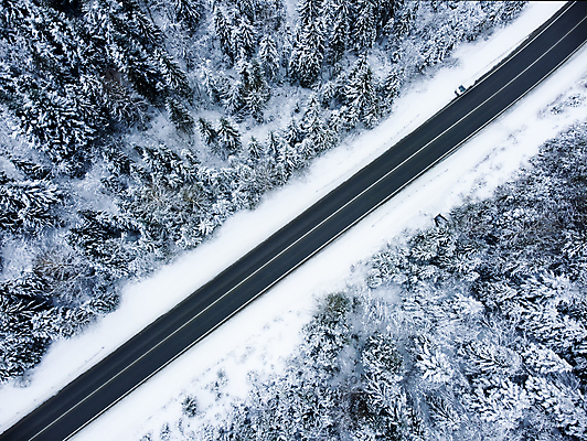 포토 JPG 해외이미지 나무 도로 겨울 자연 사람없음 야외 하이앵글 눈 가로수 해외포토 자연요소 식물 계절 길 뷰포인트 교통시설 날씨 생태계 파일형식 이미지허브