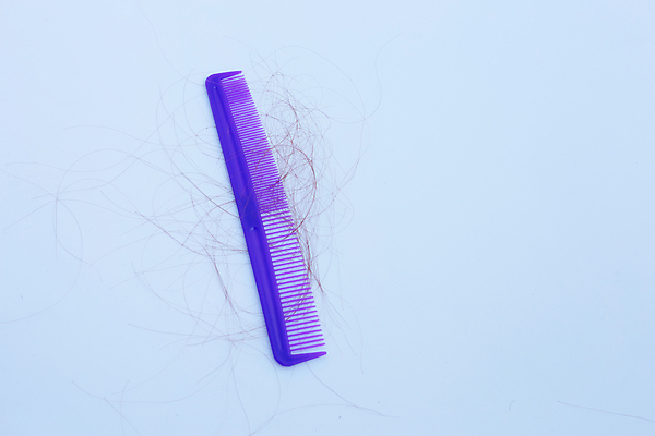 포토 JPG 해외이미지 실내 사람없음 머리카락 머리빗 오브젝트 파란배경 탈모 숱 해외포토 백그라운드 내부 파란색 머리 미용용품 증상 파일형식 이미지허브