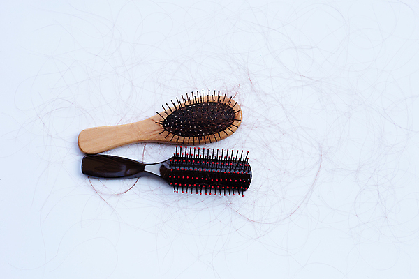 포토 JPG 해외이미지 실내 사람없음 머리카락 머리빗 오브젝트 흰배경 탈모 숱 해외포토 백그라운드 내부 머리 흰색 미용용품 증상 파일형식 이미지허브