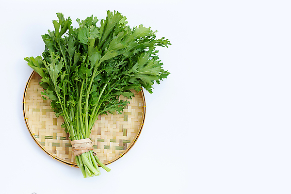 포토 JPG 해외이미지 잎 실내 사람없음 하이앵글 소쿠리 묶기 흰배경 노끈 청겨자 카피스페이스 해외포토 식물 줄 뷰포인트 백그라운드 채소 모션 내부 바구니 공백 흰색 파일형식 이미지허브