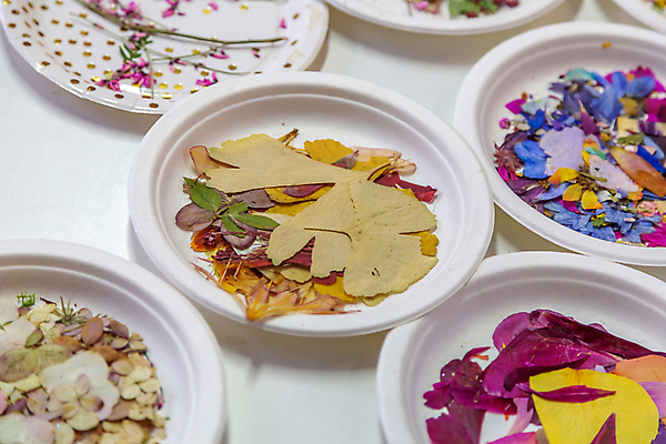 포토 JPG 해외이미지 식물 접시 디자인 꽃잎 꽃 백그라운드 잎 꽃무늬 탁자 건조 창조 미술 사람없음 장식 초록색 흰색 닫기 허브 내추럴 구성 핸드메이드 해외포토 식기 컬러 가구 무늬 모션 문화예술 파일형식 이미지허브